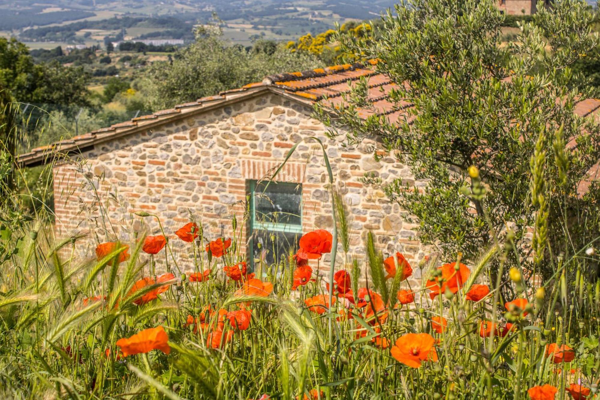 Agriturismo Dandelion ชิตตา เดลลา ปีเอเว ภายนอก รูปภาพ